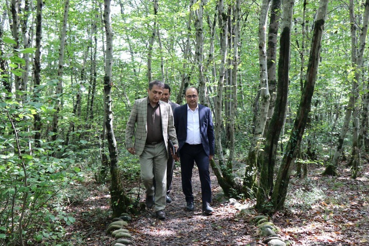 موزه میراث روستایی