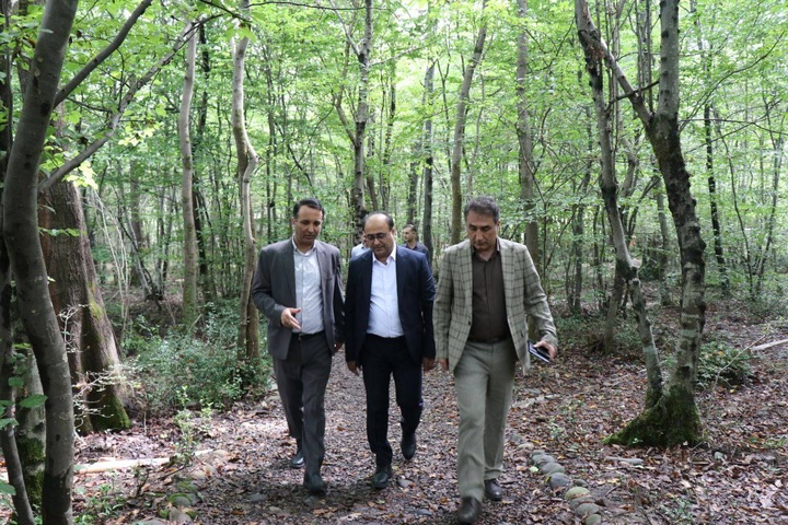 موزه میراث روستایی