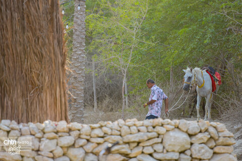 نوروز زراعی روستای دیرستان
