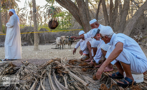 نوروز زراعی روستای دیرستان