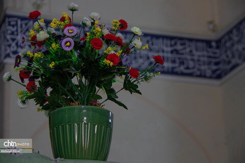 بی بی دختران