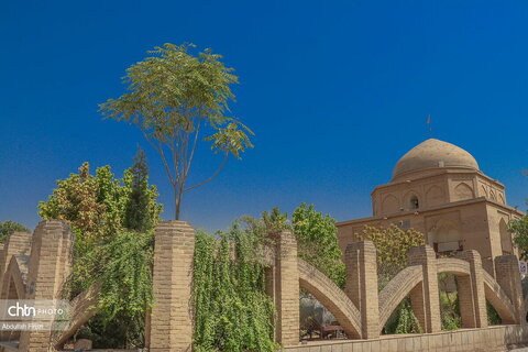 بی بی دختران