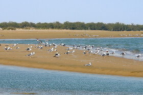 ساحل چابهار، آسمان پرنده‌ها و سکوت کوه‌های مریخی