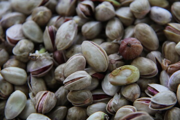 سومین جشنواره پسته در بوئین‌زهرا برگزار شد