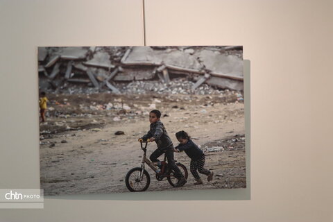 موزه هنرهای معاصر فلسطین