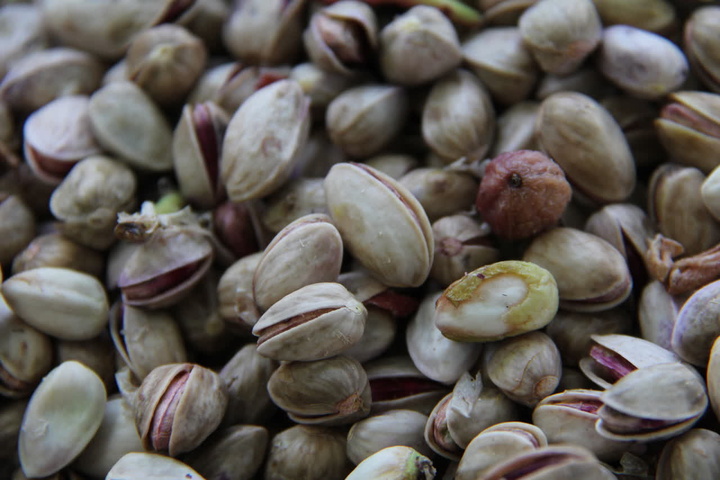 سومین جشنواره پسته در بوئین‌زهرا برگزار شد