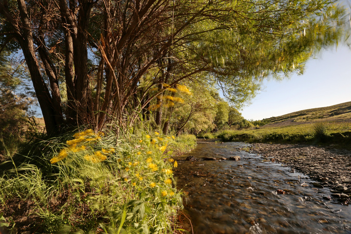 شهرستان خمین