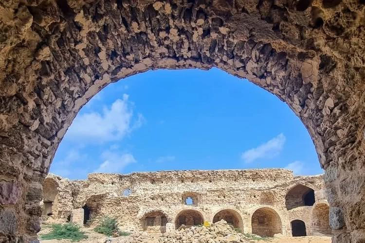 جزیره لارک؛ نگین بکر خلیج فارس