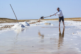 جادوی سفید جاجرم؛ روایت برداشت نمک از کال شور