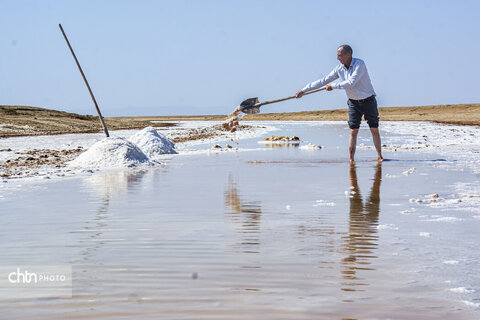 جادوی سفید جاجرم؛ روایت برداشت نمک از کال شور