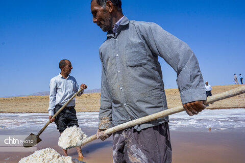 جادوی سفید جاجرم؛ روایت برداشت نمک از کال شور