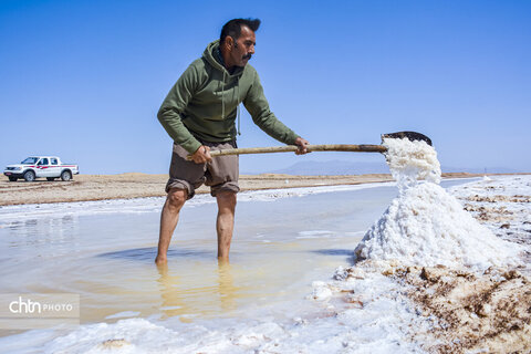 جادوی سفید جاجرم؛ روایت برداشت نمک از کال شور