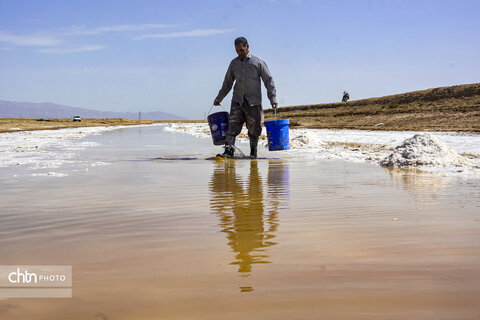 جادوی سفید جاجرم؛ روایت برداشت نمک از کال شور