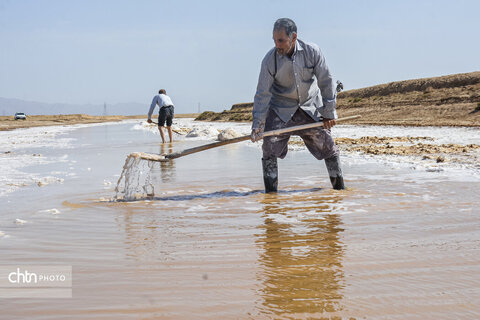 جادوی سفید جاجرم؛ روایت برداشت نمک از کال شور