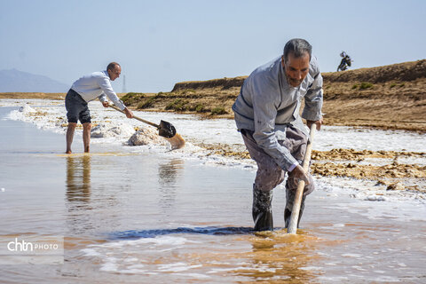 جادوی سفید جاجرم؛ روایت برداشت نمک از کال شور