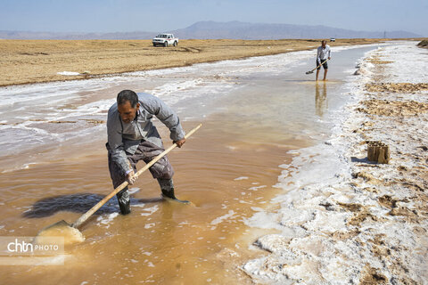 جادوی سفید جاجرم؛ روایت برداشت نمک از کال شور