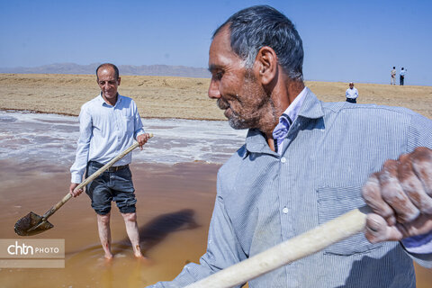 جادوی سفید جاجرم؛ روایت برداشت نمک از کال شور