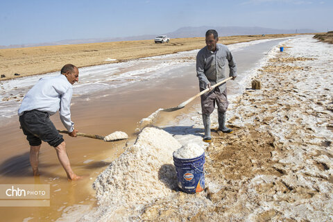 جادوی سفید جاجرم؛ روایت برداشت نمک از کال شور