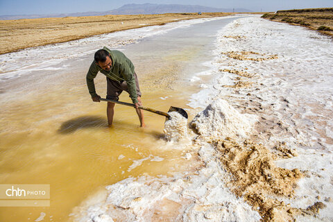 جادوی سفید جاجرم؛ روایت برداشت نمک از کال شور