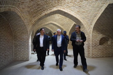 بازآفرینی میراث تاریخی همدان با حمایت صندوق توسعه و احیا