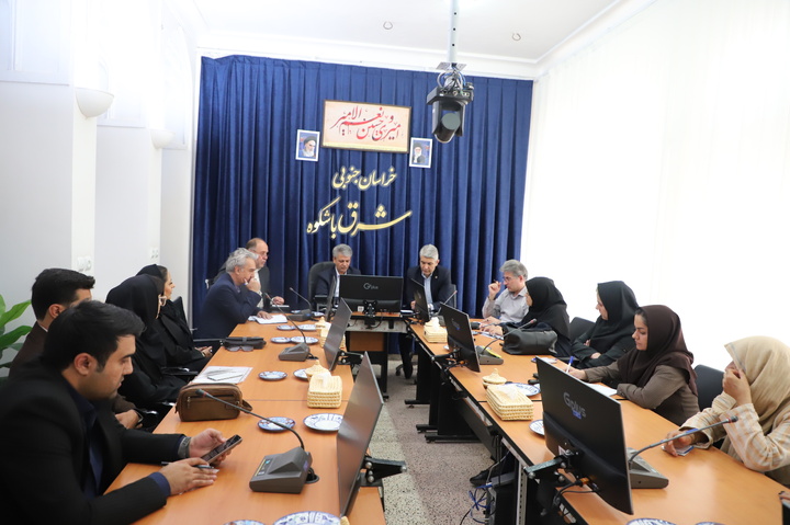 خراسان جنوبی در پی تعریف جدید تجاری در بازار افغانستان