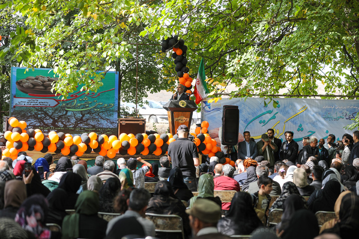 دومین جشنواره گردوی ثمرین برگزار شد