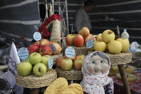 دومین جشنواره ملی سیب مشگین‌شهر