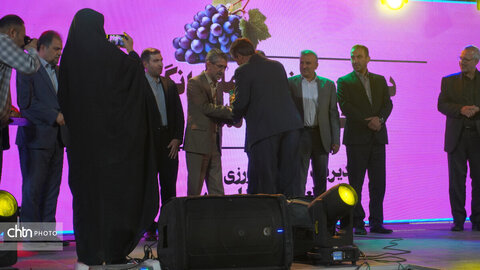 دومین جشنواره ملی انگور شهرستان ملایر برگزار شد