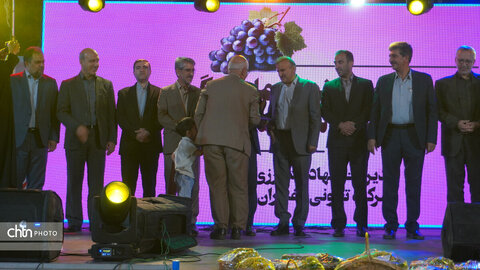 دومین جشنواره ملی انگور شهرستان ملایر برگزار شد