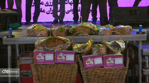 دومین جشنواره ملی انگور شهرستان ملایر برگزار شد