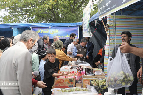 دومین جشنواره گردوی ثمرین