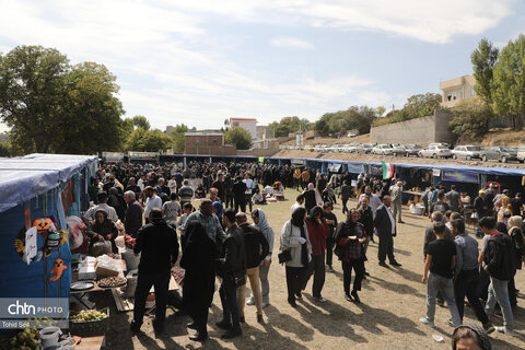 دومین جشنواره گردوی ثمرین