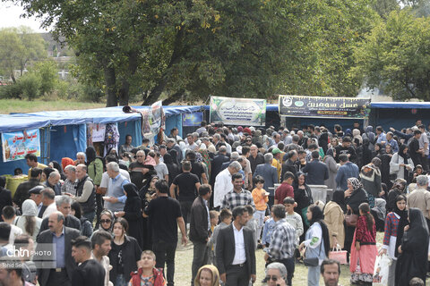 دومین جشنواره گردوی ثمرین