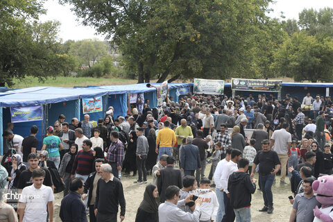 دومین جشنواره گردوی ثمرین