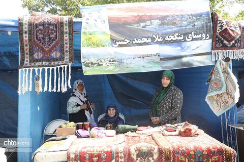 دومین جشنواره گردوی ثمرین