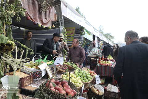 دومین جشنواره ملی سیب مشگین‌شهر