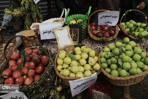 دومین جشنواره ملی سیب مشگین‌شهر