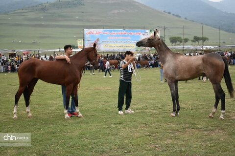 هفته گردشگری