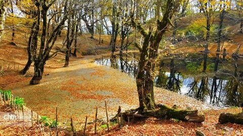هفته گردشگری