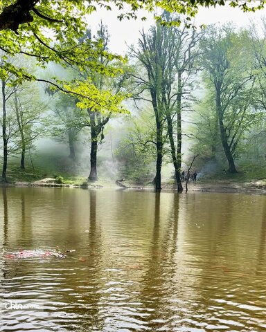 هفته گردشگری