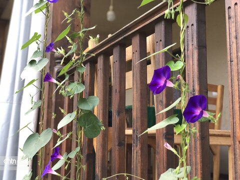 هفته گردشگری