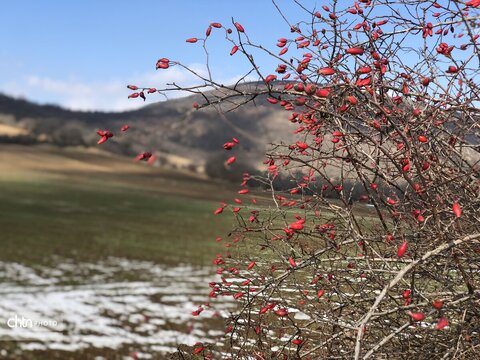 هفته گردشگری
