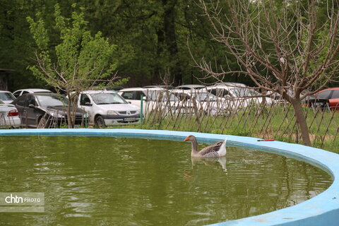 هفته گردشگری