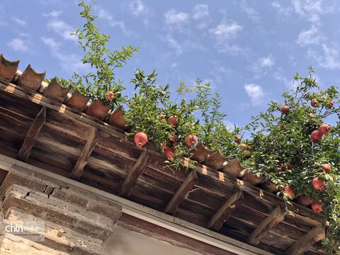 هفته گردشگری