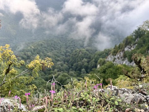 هفته گردشگری