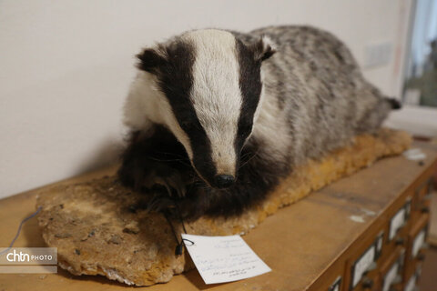 هفته گردشگری