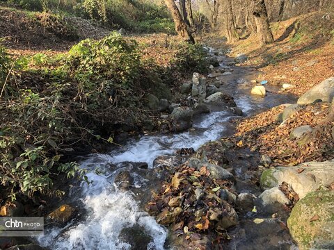 هفته گردشگری