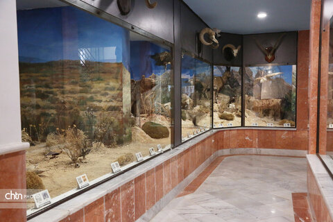 هفته گردشگری