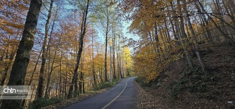 هفته گردشگری