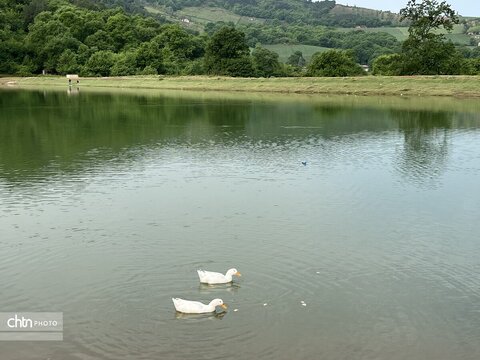 هفته گردشگری